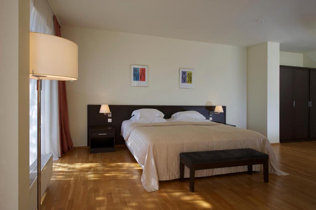 Baltic Inn パランガ 部屋 写真